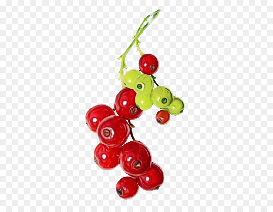 Zante Johannisbeere Lingonberry Pink Peppercorn Berries - 