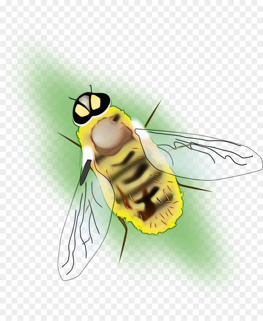 Honigbienen-Nahaufnahmedesign - 
