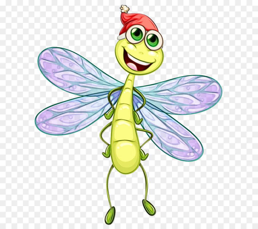 Insect Cartoon Dragonfly Drawing png download - 683*800 - Free Transparent  Watercolor png Download. - CleanPNG / KissPNG