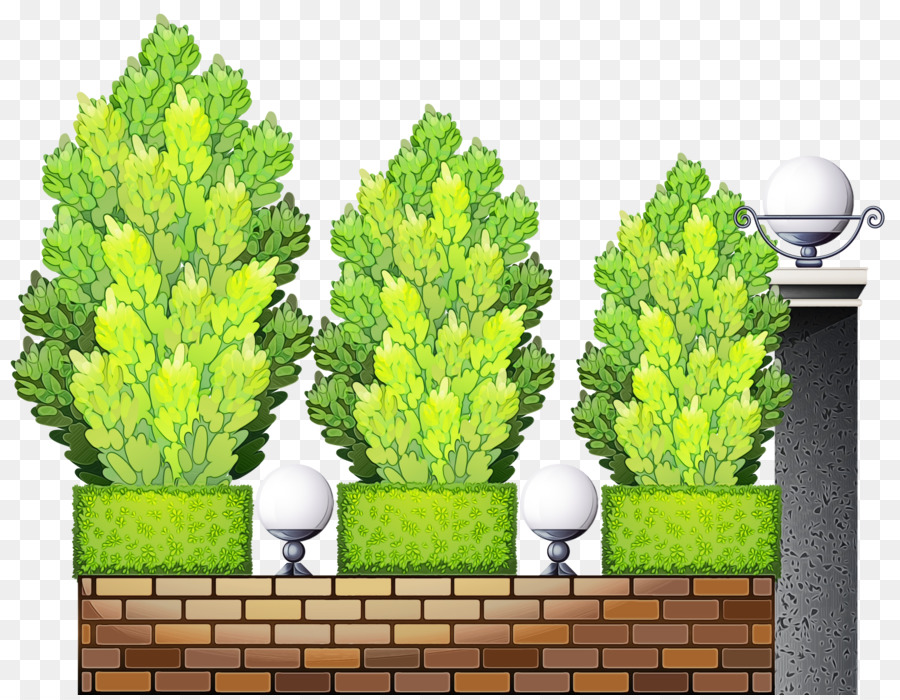 Tree Plants Design Yandex.Fotki