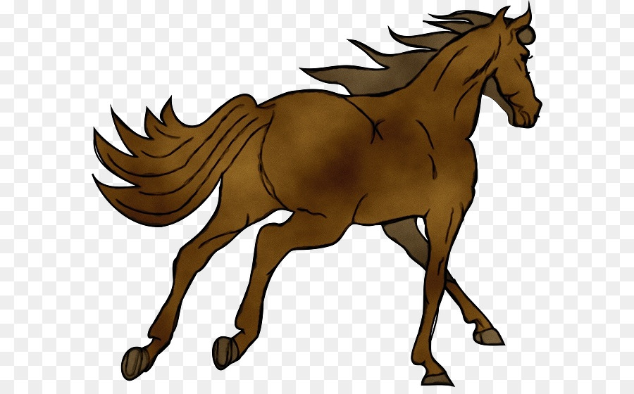 Mustang Clydesdale ngựa Con dấu nâu nuôi dưỡng - 