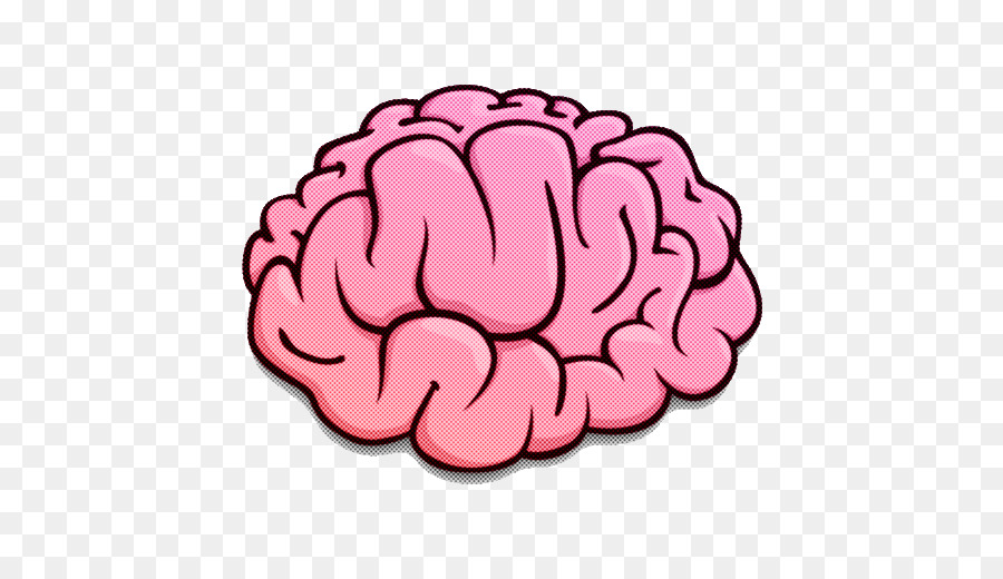 Drawing Cartoon Character Human brain png download - 512*512 - Free  Transparent Drawing png Download. - CleanPNG / KissPNG
