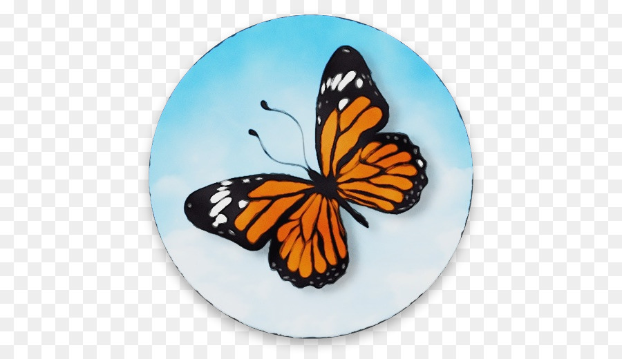 Monarch Schmetterling - 