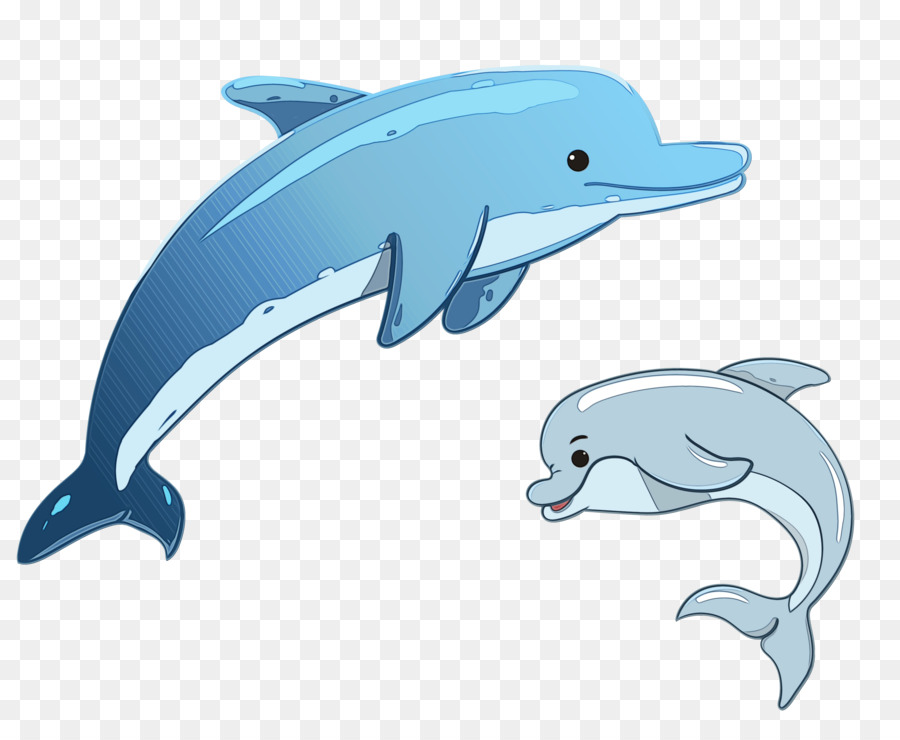 Cá heo mỏ ngắn phổ biến Phim hoạt hình Cá voi Vẽ  png tải về  Miễn phí  trong suốt Cá Heo png Tải về