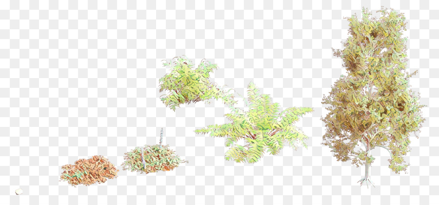 Gräser Pine Leaf Meter - 