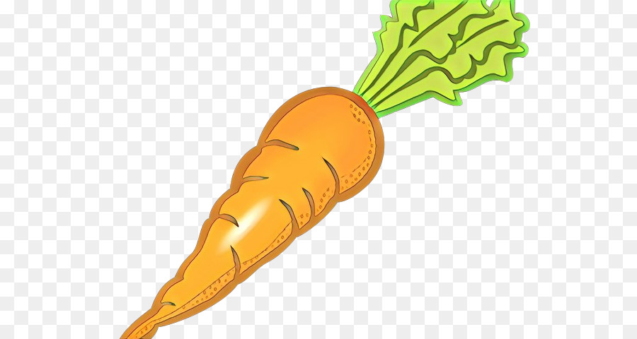 Karottenkuchenplätzchen Karottensalat Lebensmittel - 