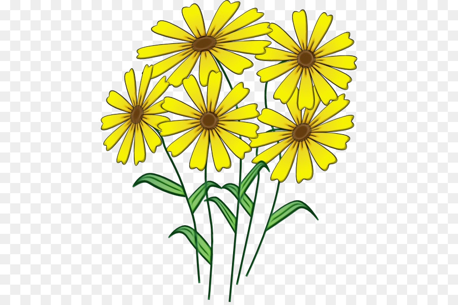 Fiore giallo pianta fioritura pianta wildflower - 