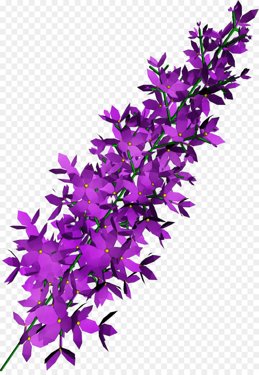 purple flower lilac plant violet