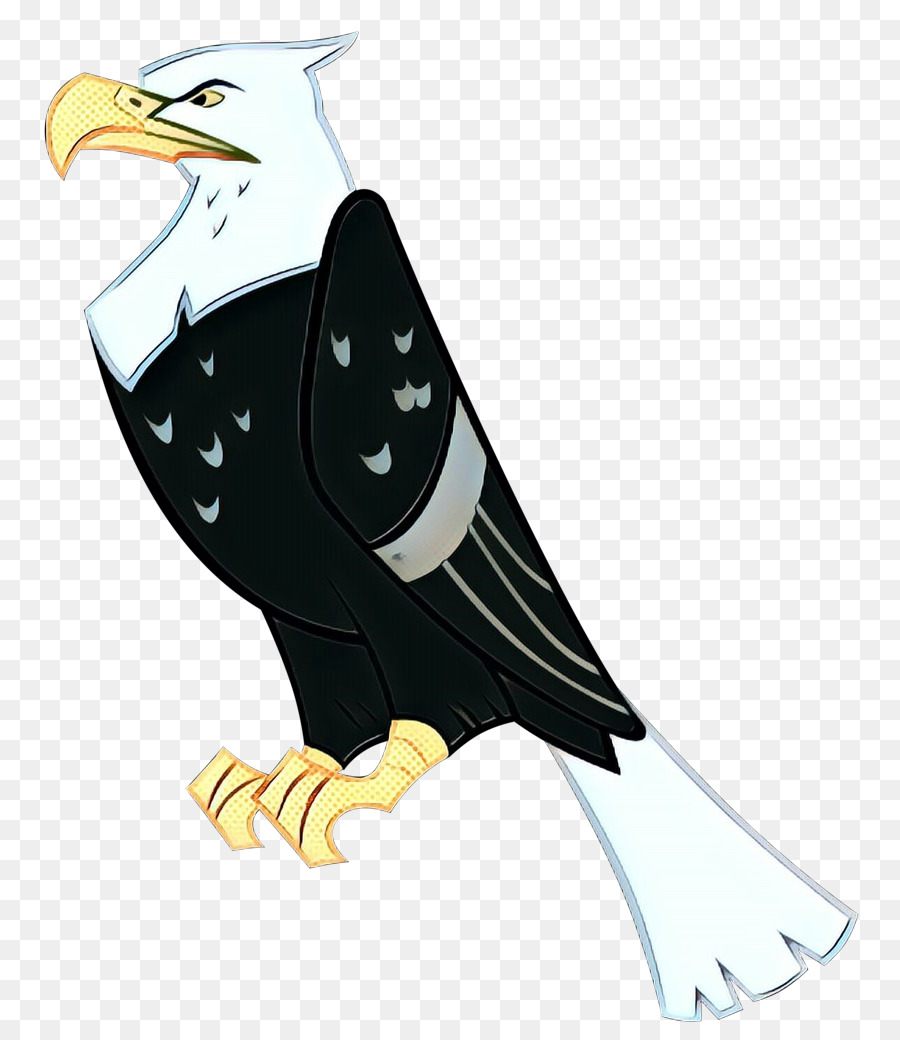 Vogel Weißkopfseeadler Adler Greifvogel Schnabel - 