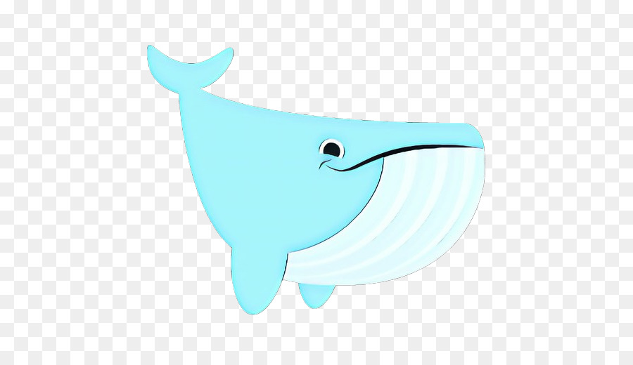 turquoise marine mammal aqua cetacea whale