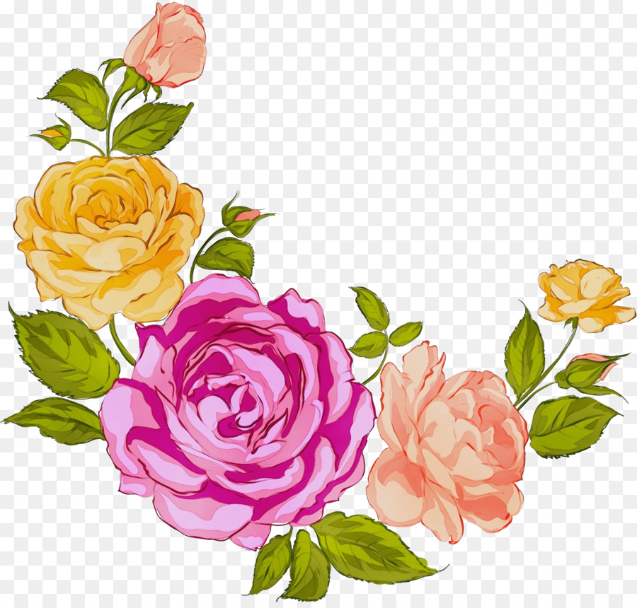 Le rose da giardino - 