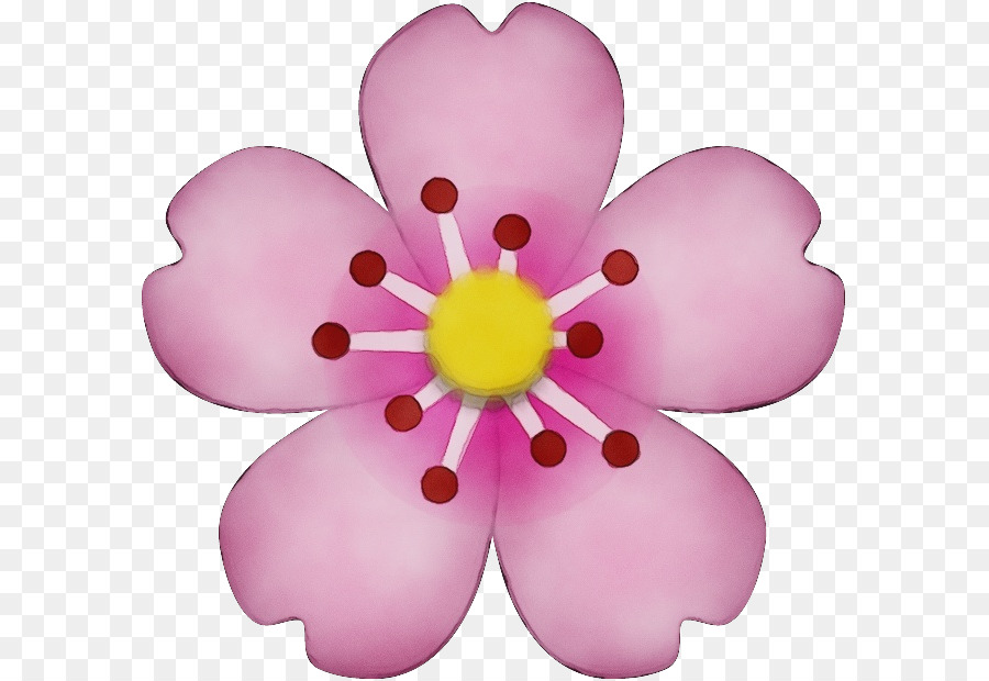 rosa Blütenblattblume violette Pflanze - 