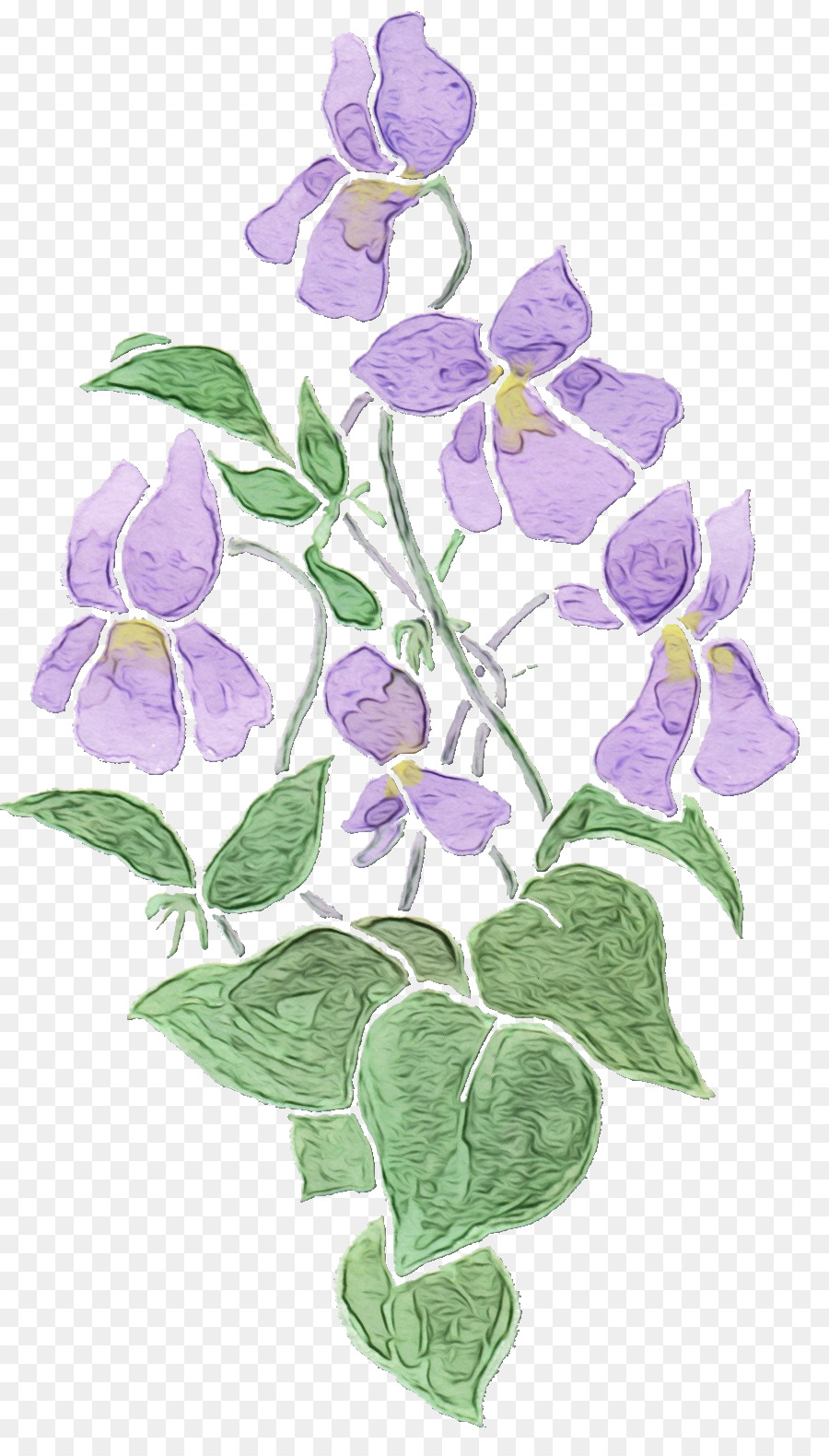 Blume violett lila Pflanze blühende Pflanze - 