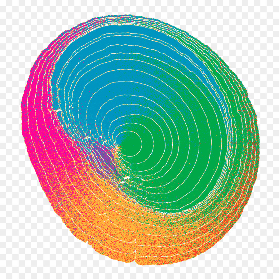 Kreis Buntheit Magenta Platte - Visualisierung