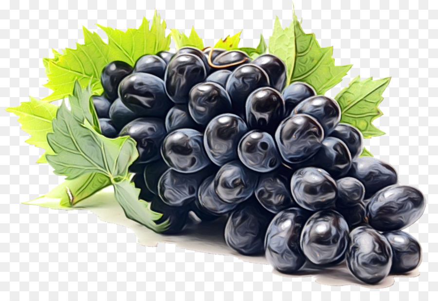 grape fruit berry grapevine family superfood