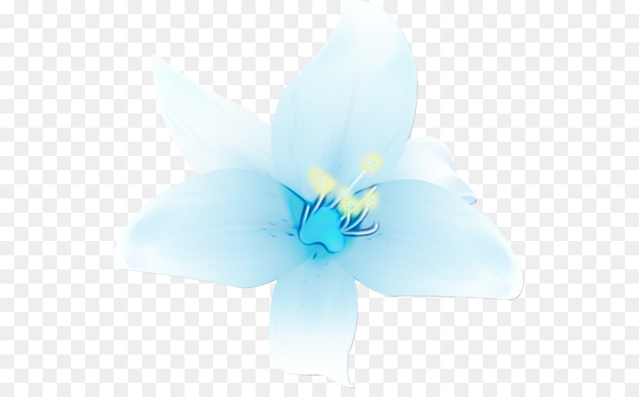 blue petal white flower plant