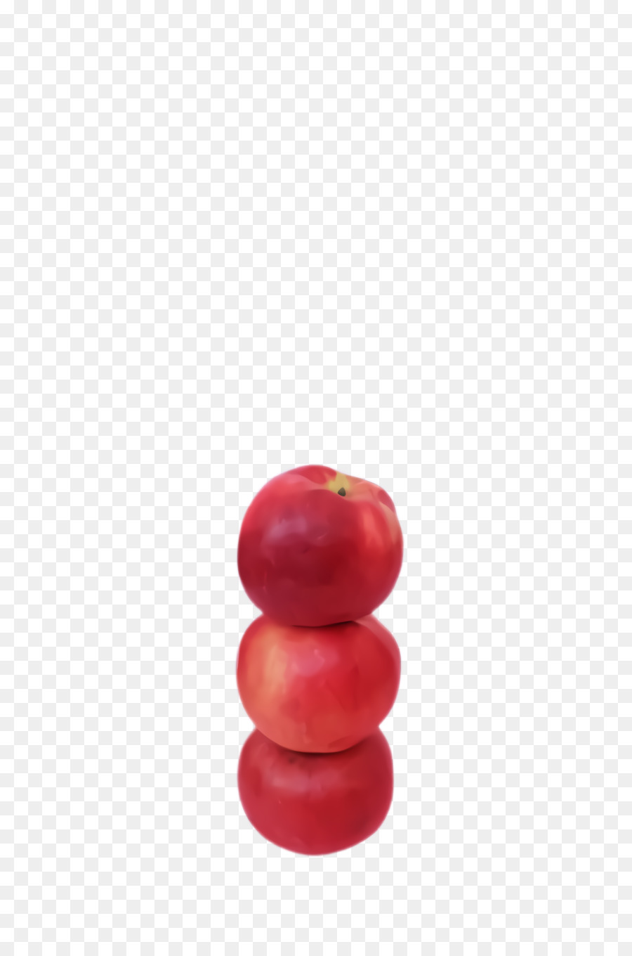 roter Fruchtkirschpflanzenbaum - 