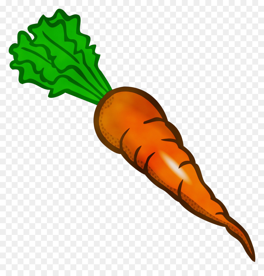 Karottenwurzelgemüse Gemüse Daikon Baby Karotte - 
