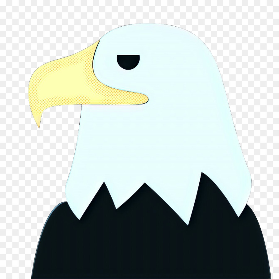 Vogel Weißkopfseeadler Weißkopfseeadler Schnabel - 
