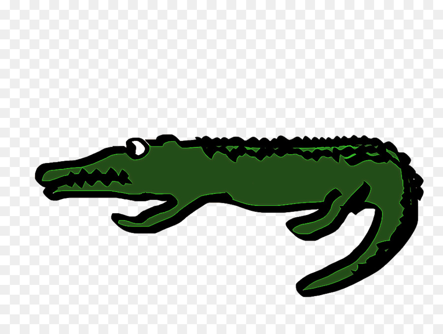 Alligator Crocodilia Crocodile grünes Reptil - 