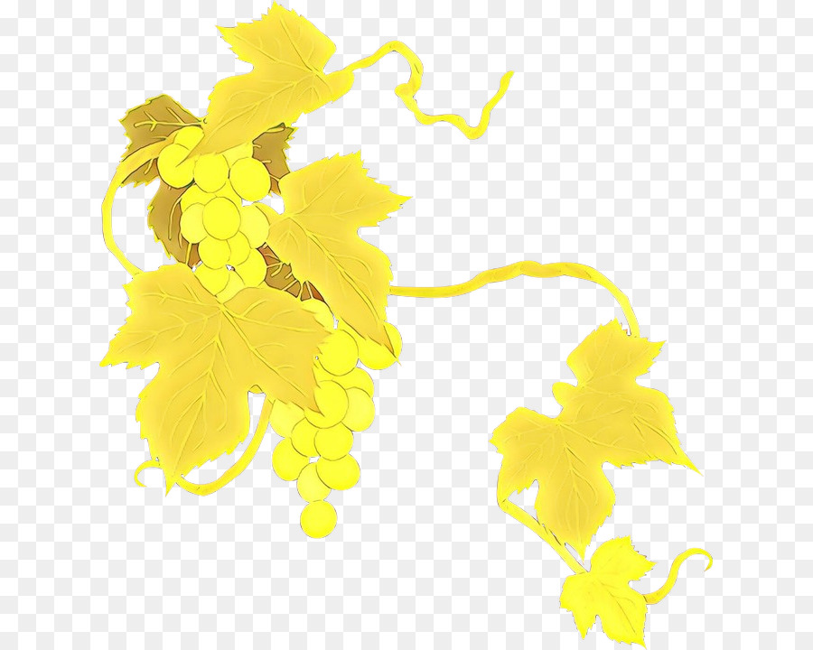 foglia gialla pianta di clip art vitis - 
