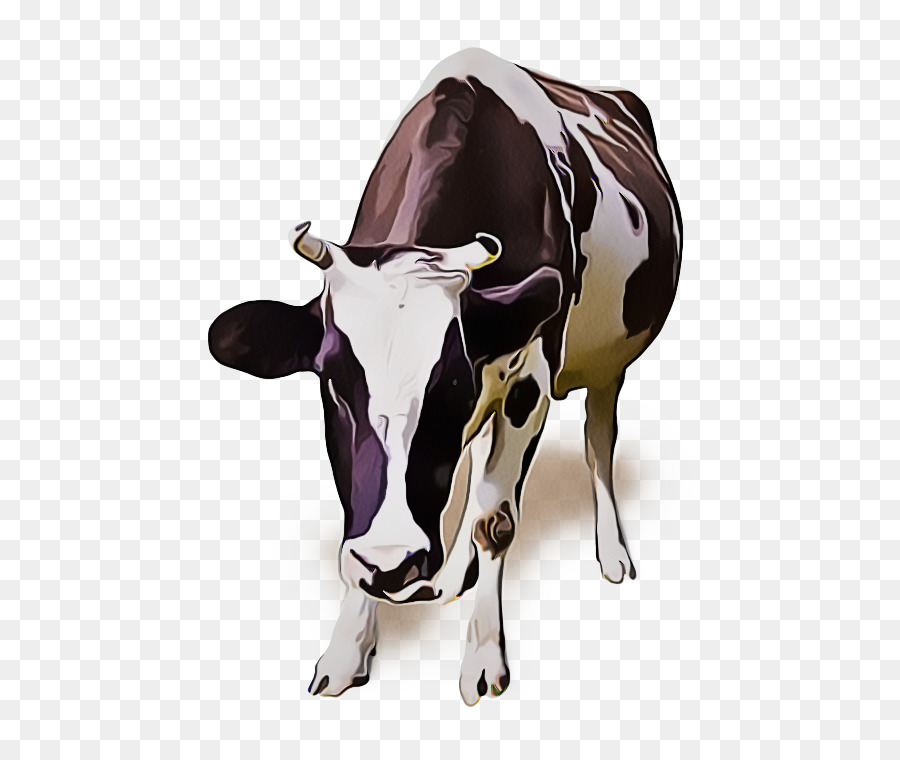 Rinder Milchkuh Vieh Bull Kuh-Ziege Familie - 