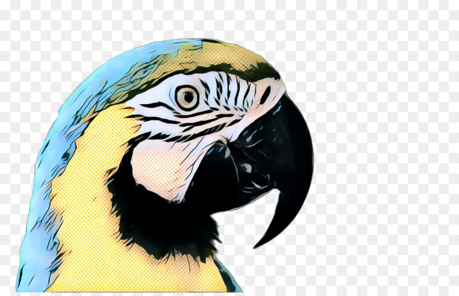Vogel Schnabel Ara Papagei - 