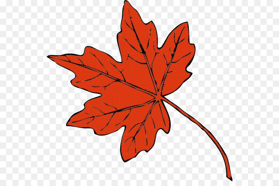 Maple leaf