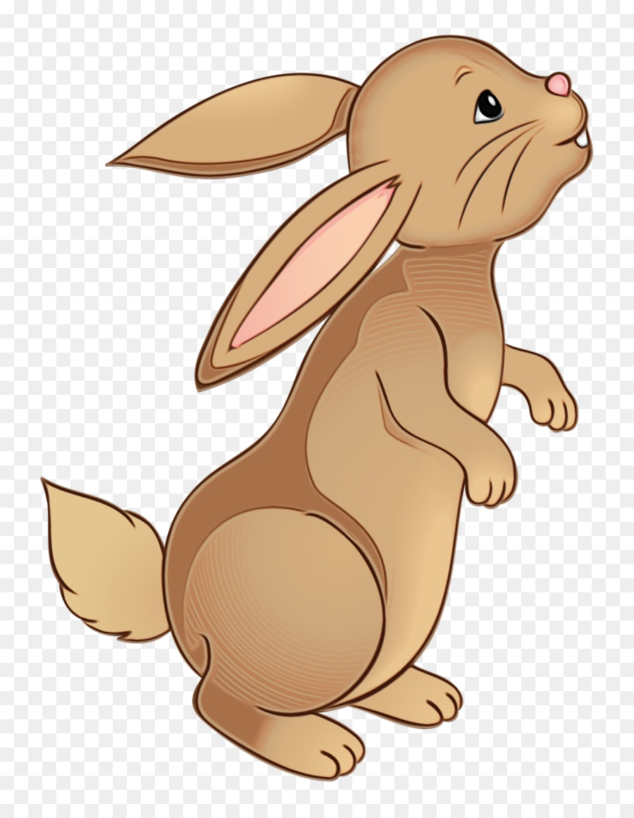 cartoon rabbit hare rabbits and hares brown png download - 1001*1280 - Free  Transparent Watercolor png Download. - CleanPNG / KissPNG
