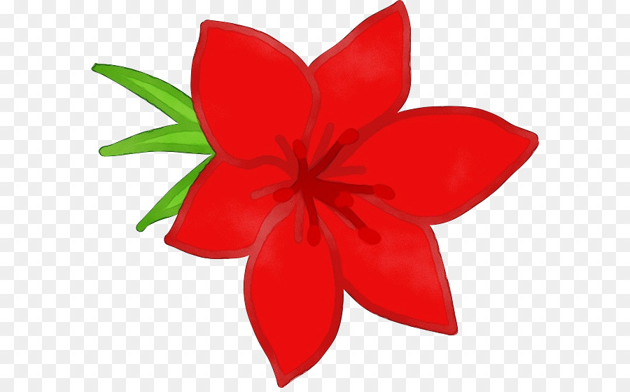 Blütenblatt-rote Blumen-Pflanzenblatt - 