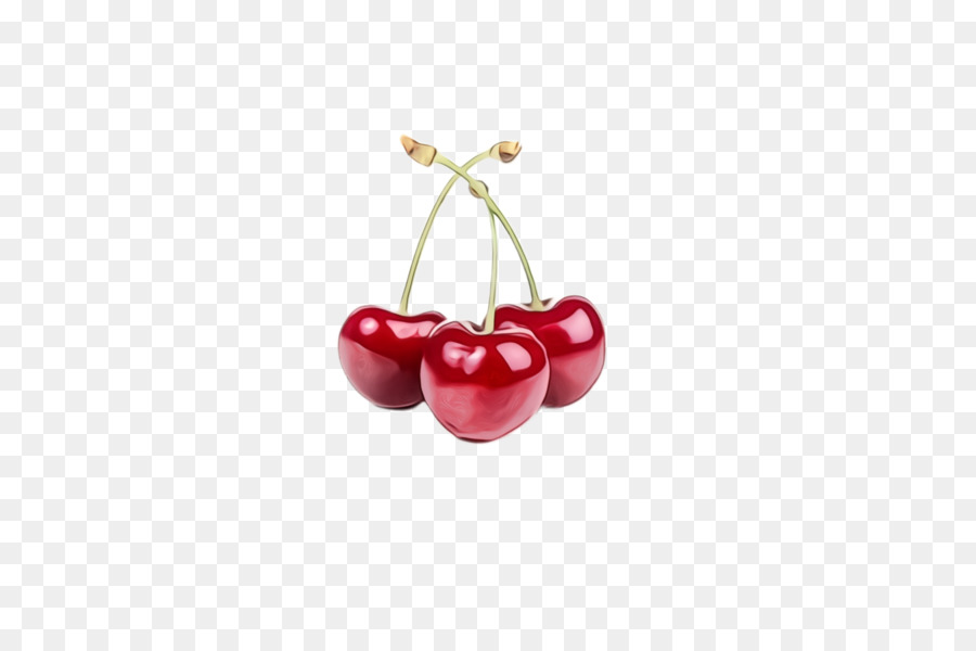 cherry red fruit pink plant