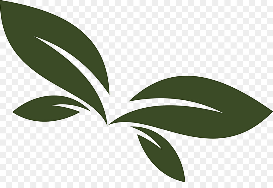 Blatt Grünpflanze Logo Blume - 