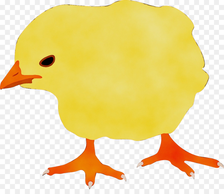 ClipArt di pollo giallo becco di uccello - 