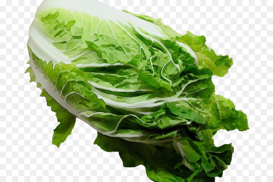 leaf vegetable vegetable food lettuce romaine lettuce