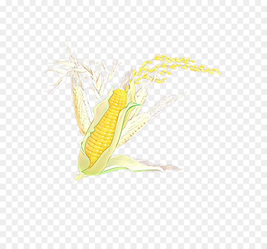 Mais auf dem COB Gelb Sweet Corn Vegetarian Food Mais - 