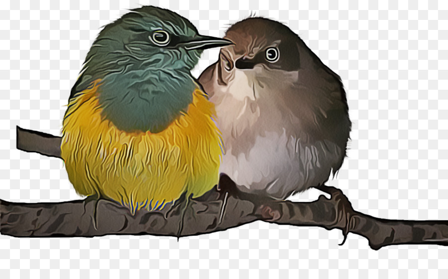Bird Babel Songbird Chickadee European Robin - 