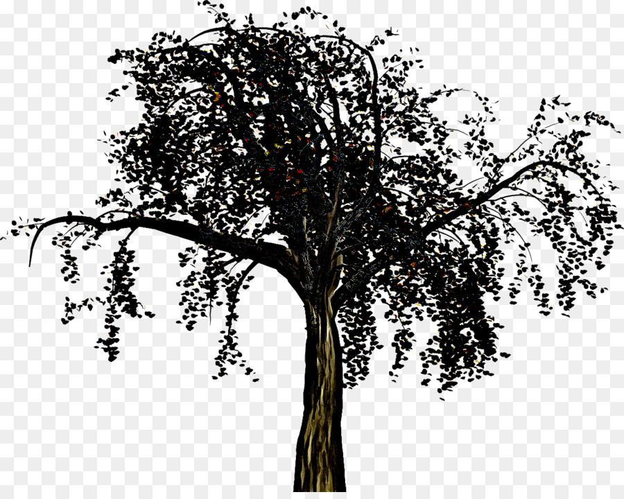 cây gỗ cây trunk - 