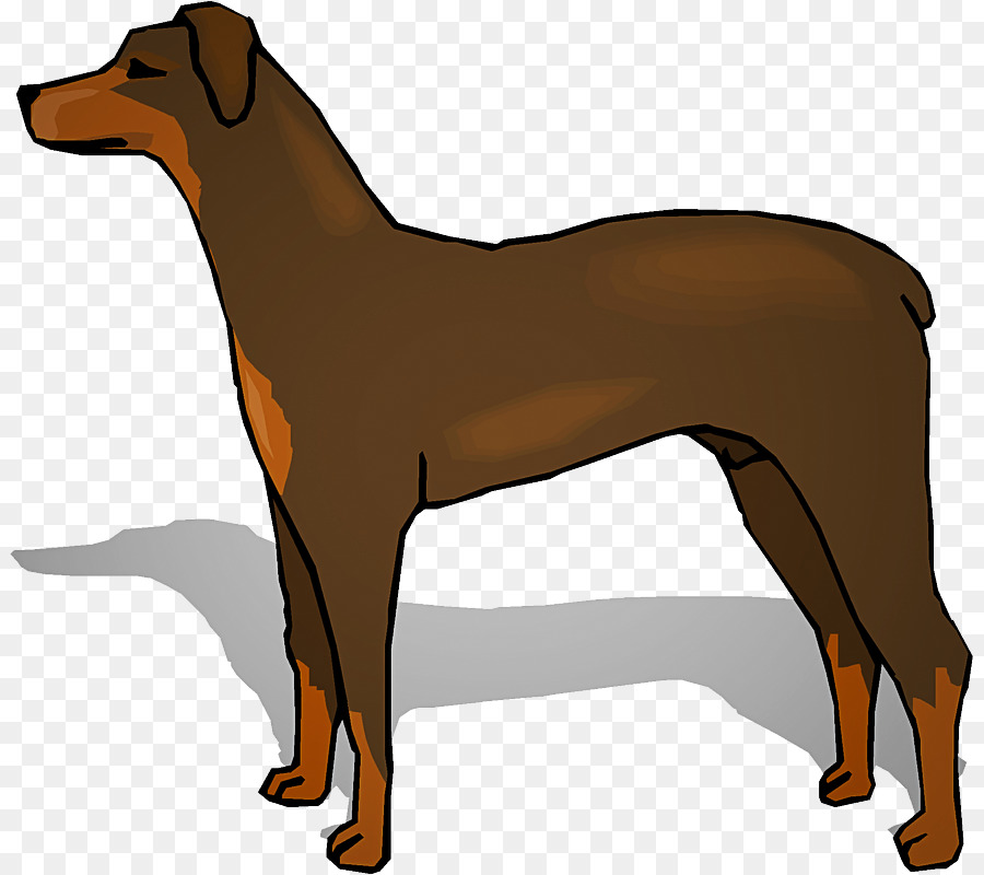 dog dog breed clip art dobermann german pinscher