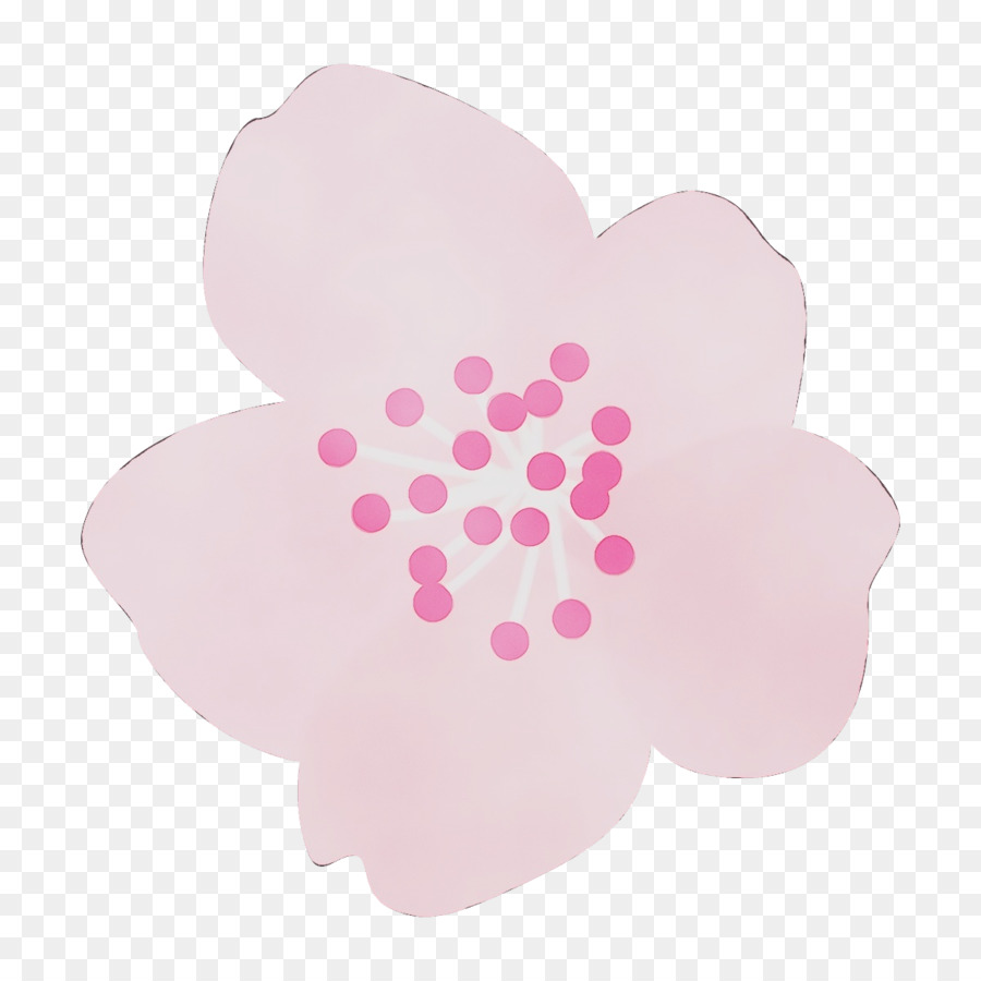 pink petal heart cloud plant