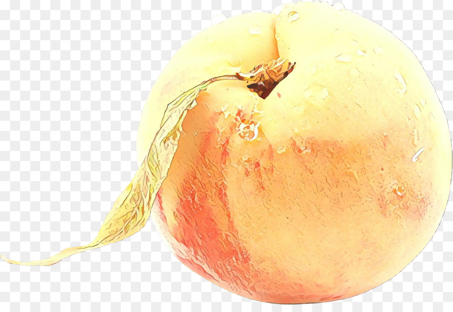 food fruit yellow onion plant apple
