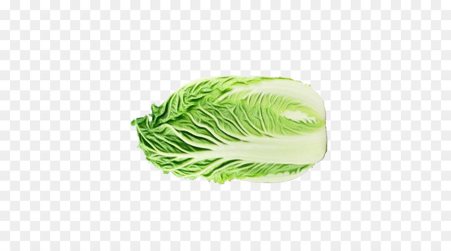 green vegetable cabbage leaf leaf vegetable