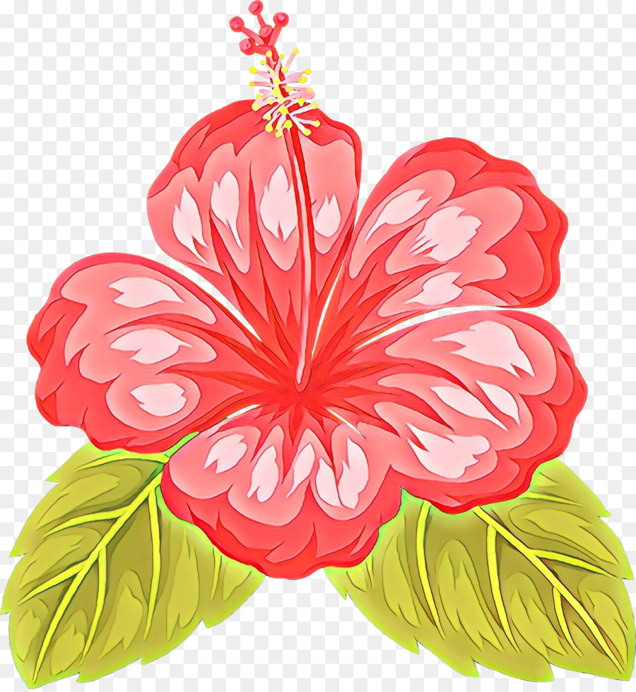 hibiscus hawaiian hibiscus flower petal plant.