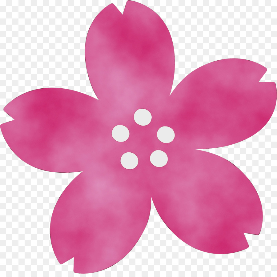 Blütenblatt rosa violette Blume Pflanze - 
