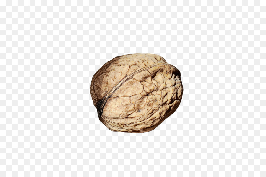 walnut nut food nuts & seeds beige