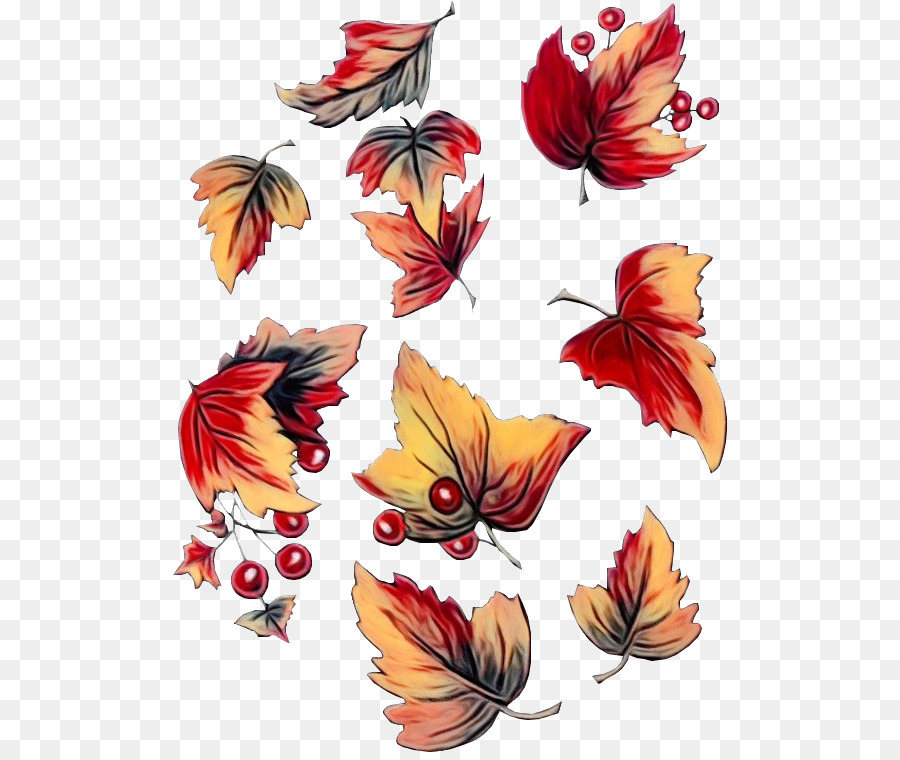farfalla clip art foglia di foglie e farfalle pianta - 