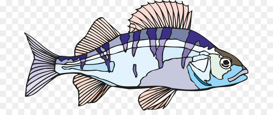 cá clip nghệ thuật cá rô sản phẩm cá - khúc côn cầu trang trí