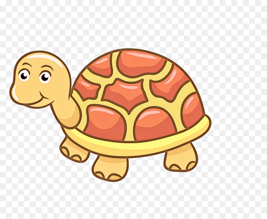 tortoise turtle cartoon reptile pond turtle png download - 1504*1224 - Free  Transparent Tortoise png Download. - CleanPNG / KissPNG