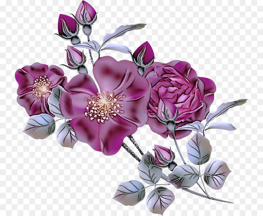 hoa tím cắt hoa cánh hoa tím - 