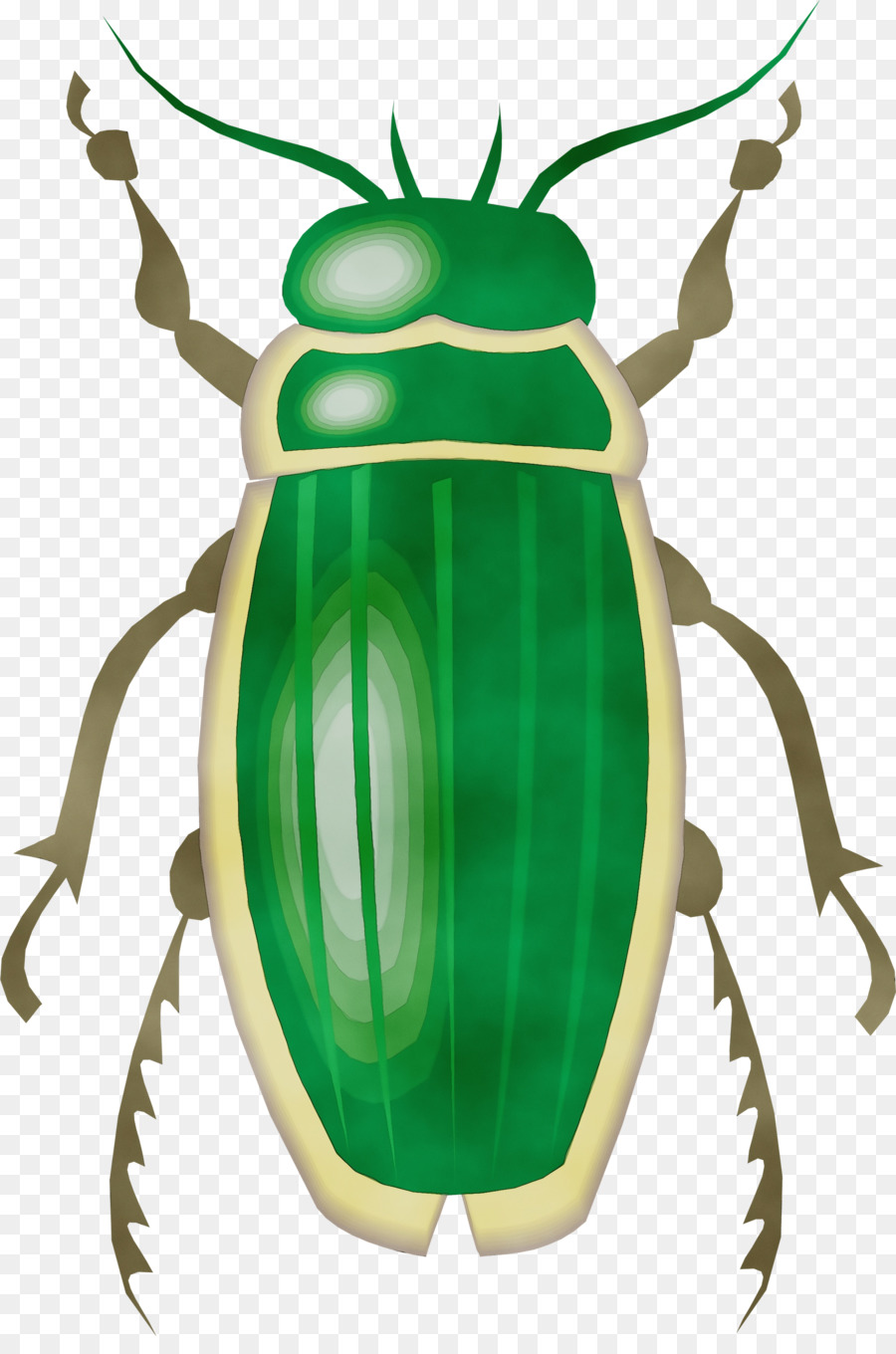 Côn trùng Clip Art Beetle Cetoniidae Beetle - 