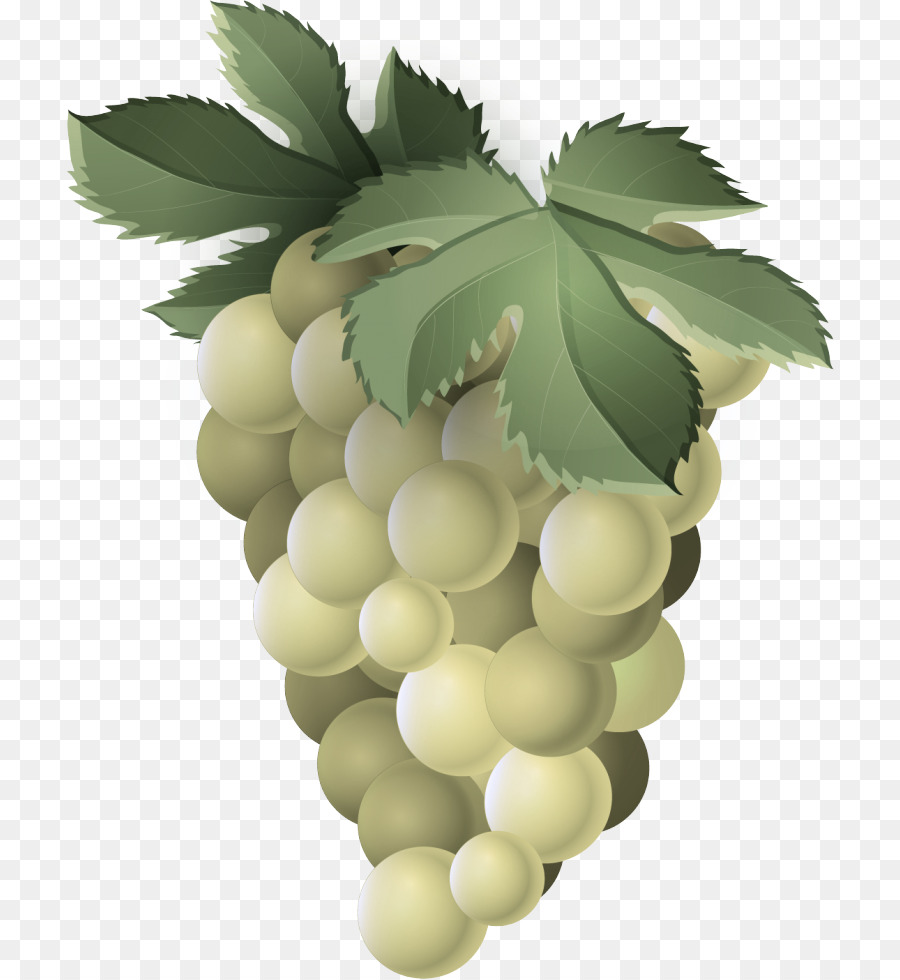 grape leaf plant seedless fruit fruit